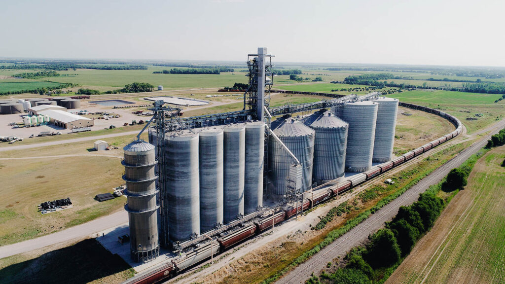 grain storage and handling
